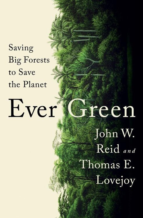 Global intact forest landscapes, with a focus on tropical and boreal forests and their role in climate change mitigation and biodiversity conservation.