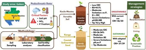 This study examines how lithology and pedoclimate govern soil evolution and degradation in humid tropical Gabon by comparing ferralitic soils developed on ancient granito-gneissic basement at Koula-Moutou to younger coastal sedimentary sands at Kango. Ferralitic soils display extreme acidity (pH < 4.5), low cation exchange capacity, and severe base depletion, reflecting advanced degradation but lower vulnerability, whereas coastal sands retain nutrients more moderately yet remain more prone to nutrient loss, highlighting the need for site-specific management such as liming and organic inputs.
