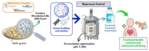 This review analyses current publication trends to outline the development of kefir as a functional food. It examines the complex microbial community and its protective matrix to show how careful strain selection and controlled bioprocesses can improve fermentation and scale up production. Finally, these production methods are linked to human health benefits, highlighting how kefir influences the gut microbiome to support digestion, cognitive function, and overall metabolic balance.