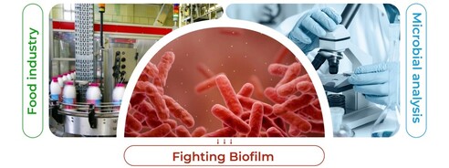 This article reviews the formation of biofilms in the agri-food industry, exploring the mechanisms and factors involved in the adhesion of micro-organisms, the different methods used to study their development, and new strategies and advances to combat this phenomenon