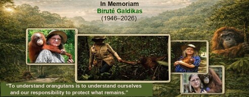 Spatial: Borneo, Indonesia; Temporal: 1946–2026; Jurisdiction: Global environmental conservation