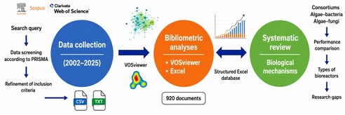 This study adopts a systematic PRISMA-based methodology to collect and screen scientific articles from 2002 to 2025 using the main databases Scopus and Web of Science. Bibliometric studies were performed using VOSviewer and Excel to analyze research trends, keyword mapping, and publication patterns from a chosen set of 920 documents. Next, the review integrates the latest understanding of algal-microbial consortia, contrasts their biological mechanisms, efficiencies, identifies the types of reactors used, and pinpointing the gaps in the research field.