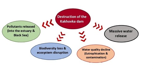 The destruction of the Kakhovka dam released pollutants up to 50 times above permissible levels across 6,800 km², severely impacting the Dnipro-Buh estuary and the Black Sea. This disaster caused a deterioration in water quality, leading to eutrophication and excessive algal growth. The aquatic ecosystem is now disrupted, threatening biodiversity and hindering natural water regeneration.