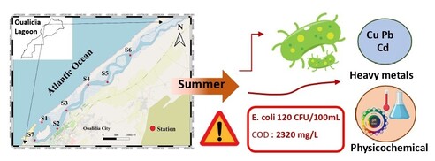 This study shows how seasonal variation influences the microbiological and physico-chemical quality of the Oualidia Lagoon. Sampling revealed higher bacterial loads, greater chemical oxygen demand, and elevated heavy metal concentrations during summer. These findings point to increased anthropogenic pressures on the Lagoon ecosystem, with potential risks to environmental and human health.