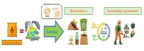 This study provides a concise synthesis of recent progress in biofertilizers, focusing on  their main classes, mechanisms of action, their agronomic and environmental benefit, and the challenges they face. Based on a rigorous bibliographic analysis of over 17,000 records from leading databases, it identifies key trends, knowledge gaps, and technical levers to improve fertilizer efficiency. The work supports the development of eco-efficient biofertilizers aligned with the principles of sustainable agriculture and the circular economy.