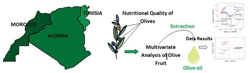 This research focuses on a comparative study of the nutritional quality of olives in Maghreb countries (Morocco, Algeria, Tunisia). It combines multivariate analysis of olive fruits, olive oil extraction, and data interpretation through advanced statistical tools. The study adopts a regional approach to valorise olives and their derived products, providing valuable insights for improving production processes and enhancing the quality of olive oil.